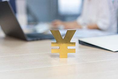 《警察模拟器：巡警》追加网络模式 支持2人合作破案